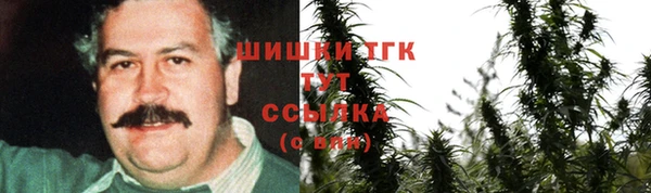 прущие грибы Михайлов