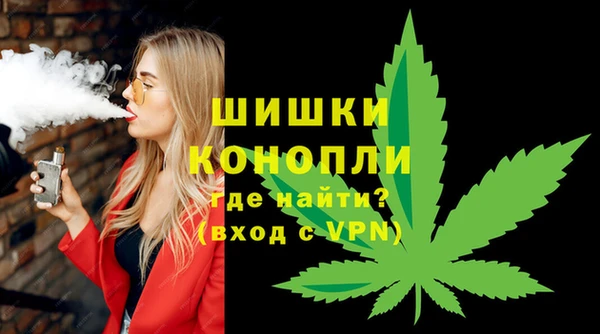 прущие грибы Михайлов