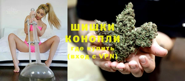 прущие грибы Михайлов
