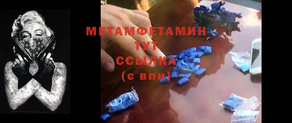прущие грибы Михайлов
