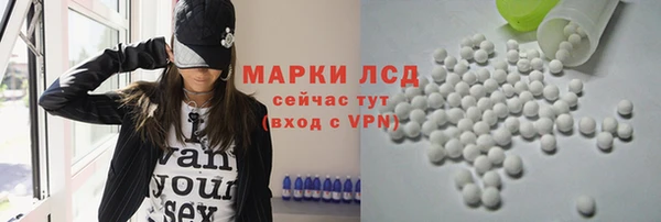прущие грибы Михайлов