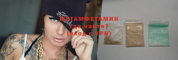 прущие грибы Михайлов