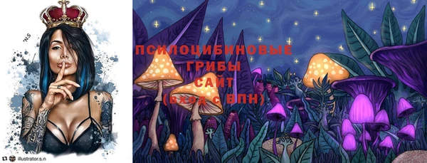 прущие грибы Михайлов