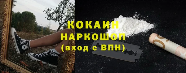 прущие грибы Михайлов