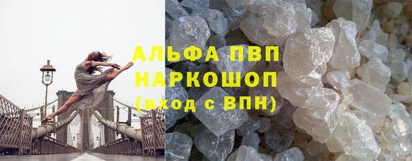 прущие грибы Михайлов
