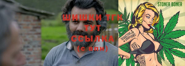прущие грибы Михайлов