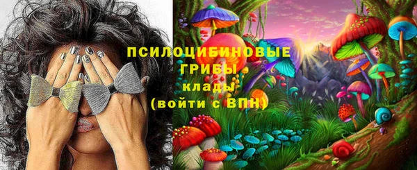 прущие грибы Михайлов