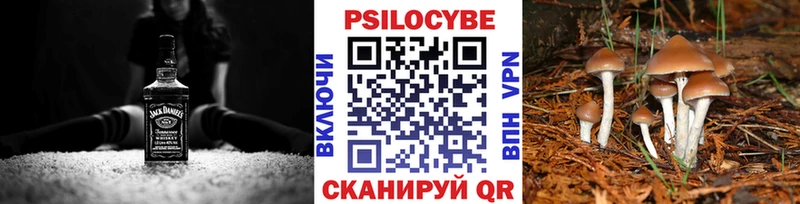 как найти закладки  Всеволожск  Галлюциногенные грибы Psilocybine cubensis 