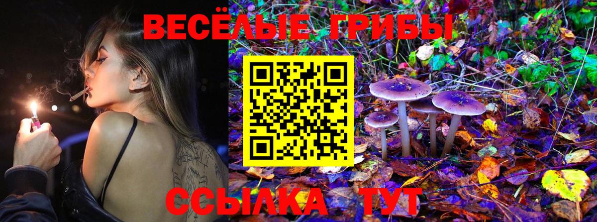 Галлюциногенные грибы GOLDEN TEACHER Всеволожск