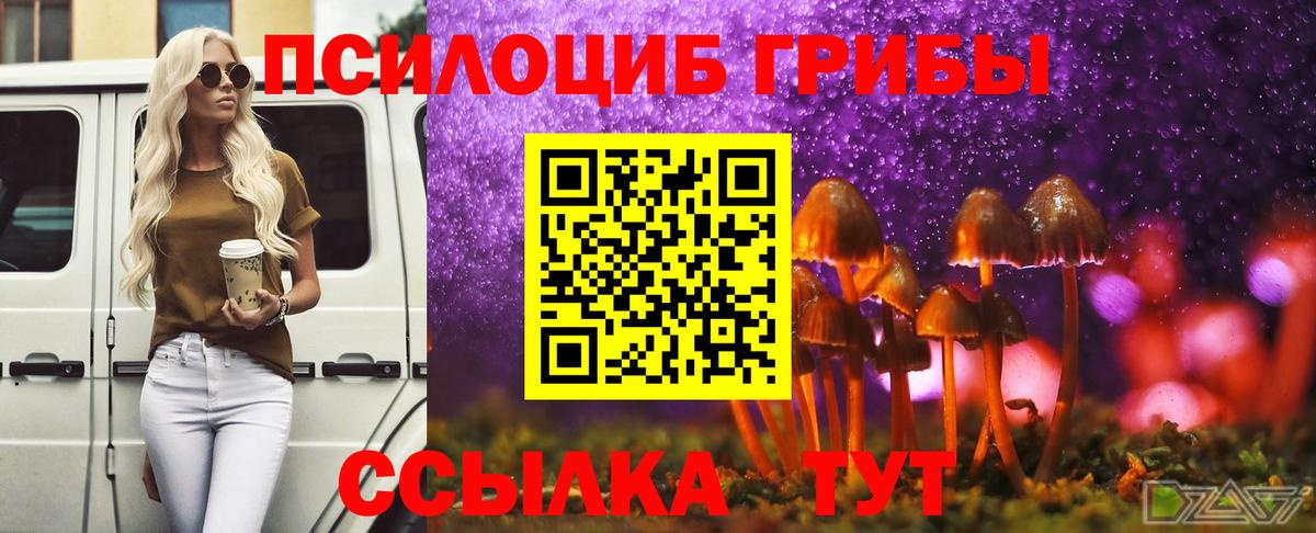 Галлюциногенные грибы Psilocybe Всеволожск