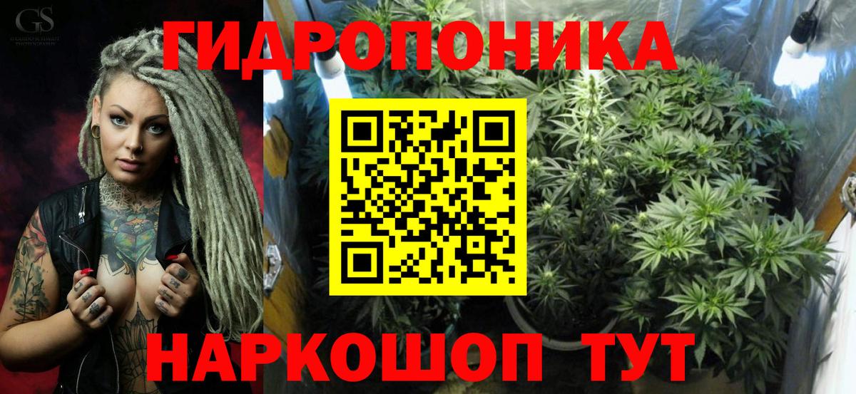 Всеволожск  Каннабис OG Kush  Вход с VPN  Конопля Ganja  Марихуана марихуана  МАРИХУАНА сатива 